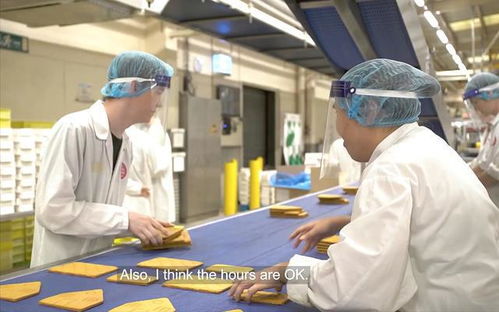 從講臺(tái)到餅廠 香港移民在英國的階層漂流與重生